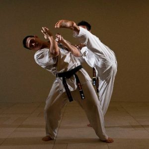sabaki method karate in the inner circle sabaki method karate in the inner circle